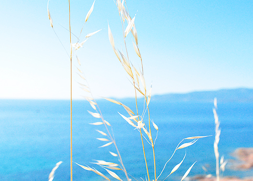 Sommerurlaub Korsika