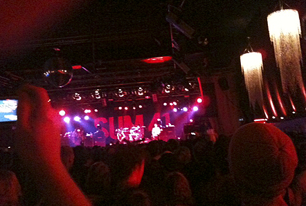 sum 41