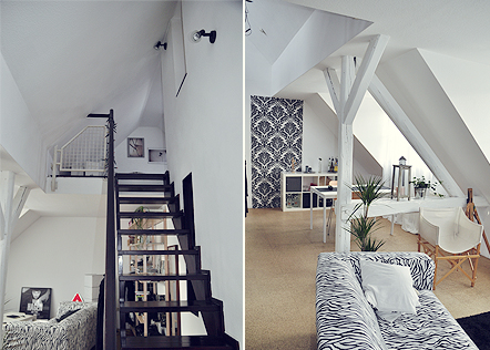 wohnung