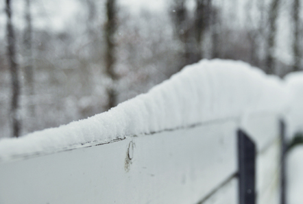 schnee