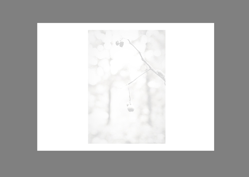 fotopage