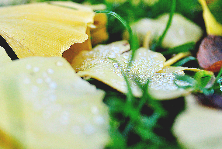 drop