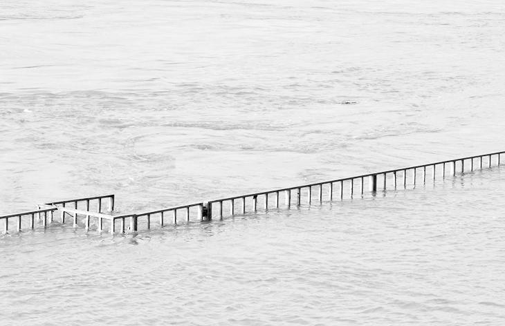 rhein