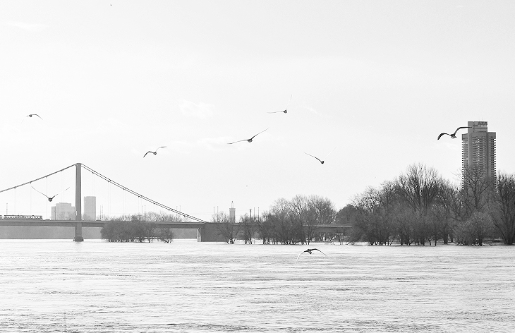 rhein
